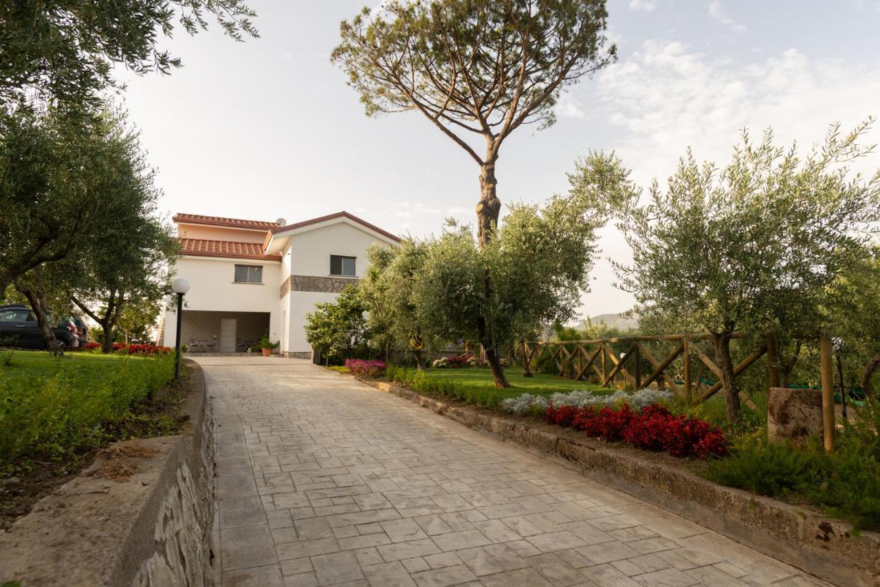 La Gesina B&B Piano di Sorrento Exteriér fotografie